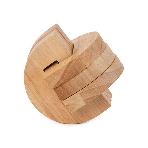 Brain Puzzle N°03: Temporal Lobe