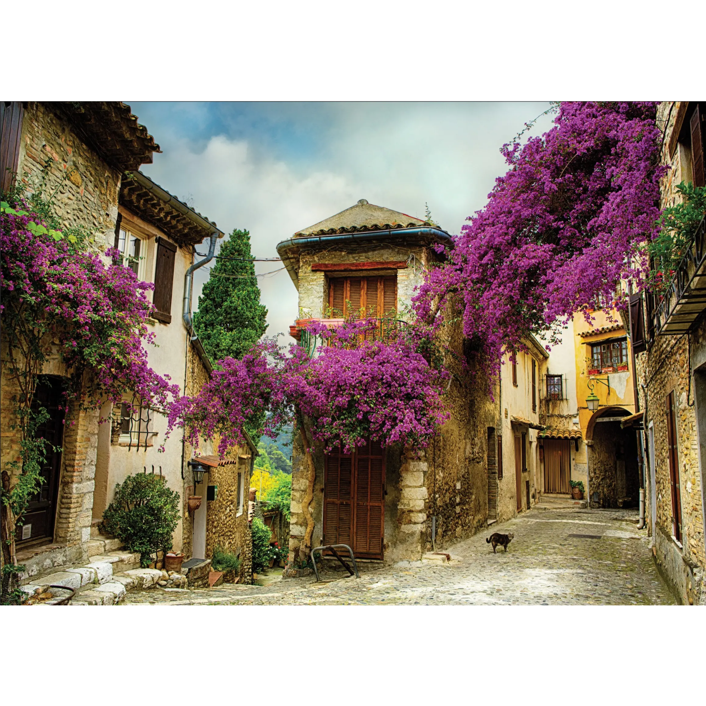 Flowered Village Houses (500 Pieces)