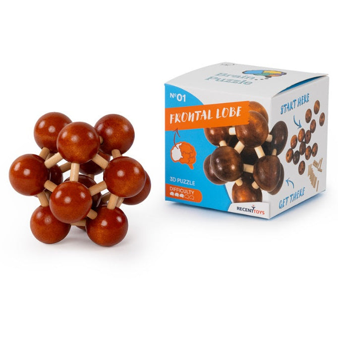 Brain Puzzle N°01: Frontal Lobe
