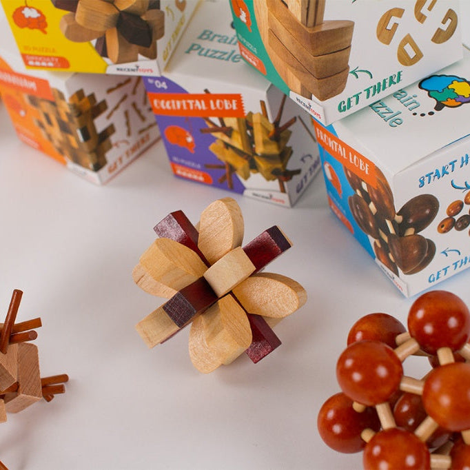 Brain Puzzle N°02: Parietal Lobe