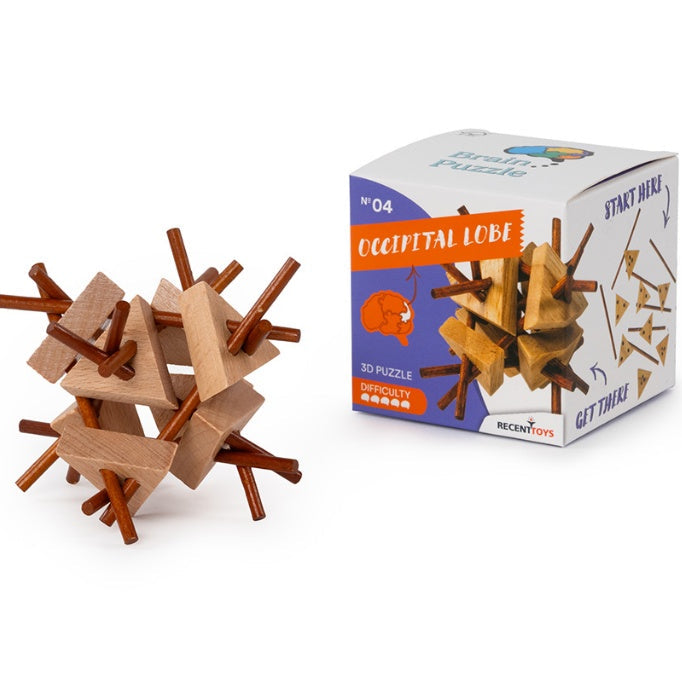 Brain Puzzle N°04: Occipital Lobe