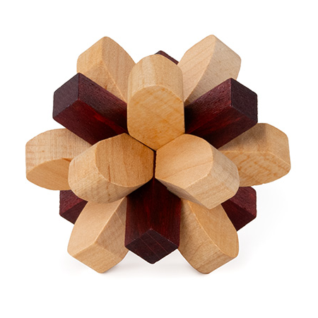 Brain Puzzle N°02: Parietal Lobe