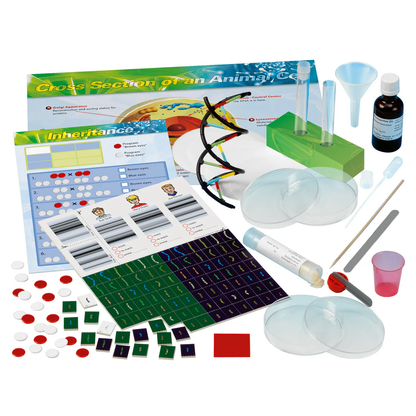 Genetics & DNA Science Kit