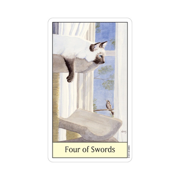Cat's Eye Tarot by Debra M. Givin