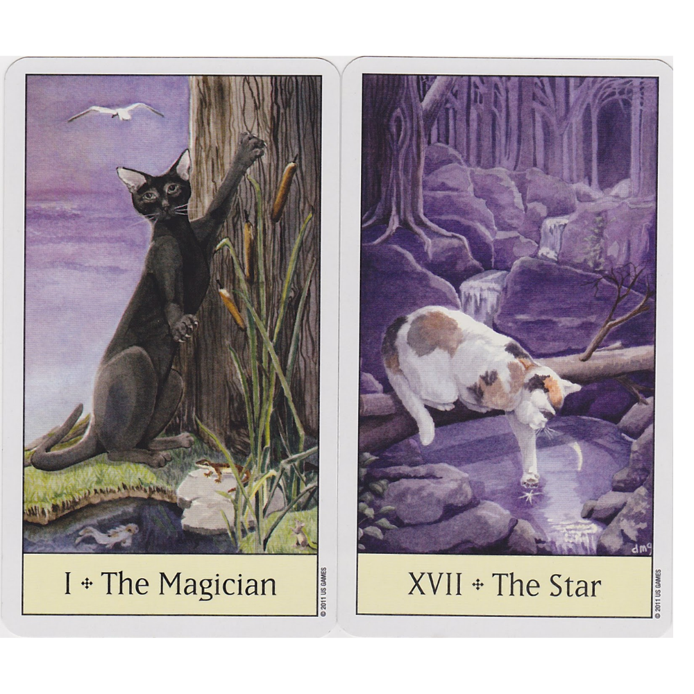 Cat's Eye Tarot by Debra M. Givin
