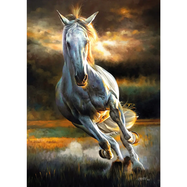 White Storm (500 Pieces)