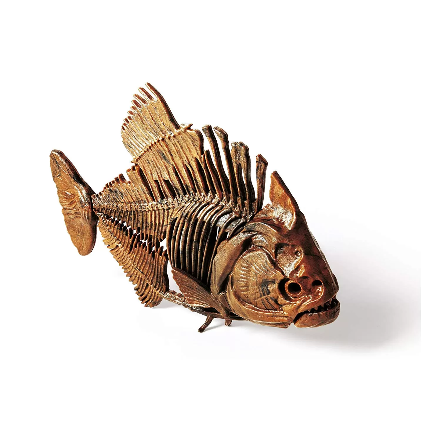 Science & Jeu - Le Grand Coffret du Scientifique