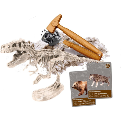 Science & Jeu : L’Histoire de la Vie sur Terre