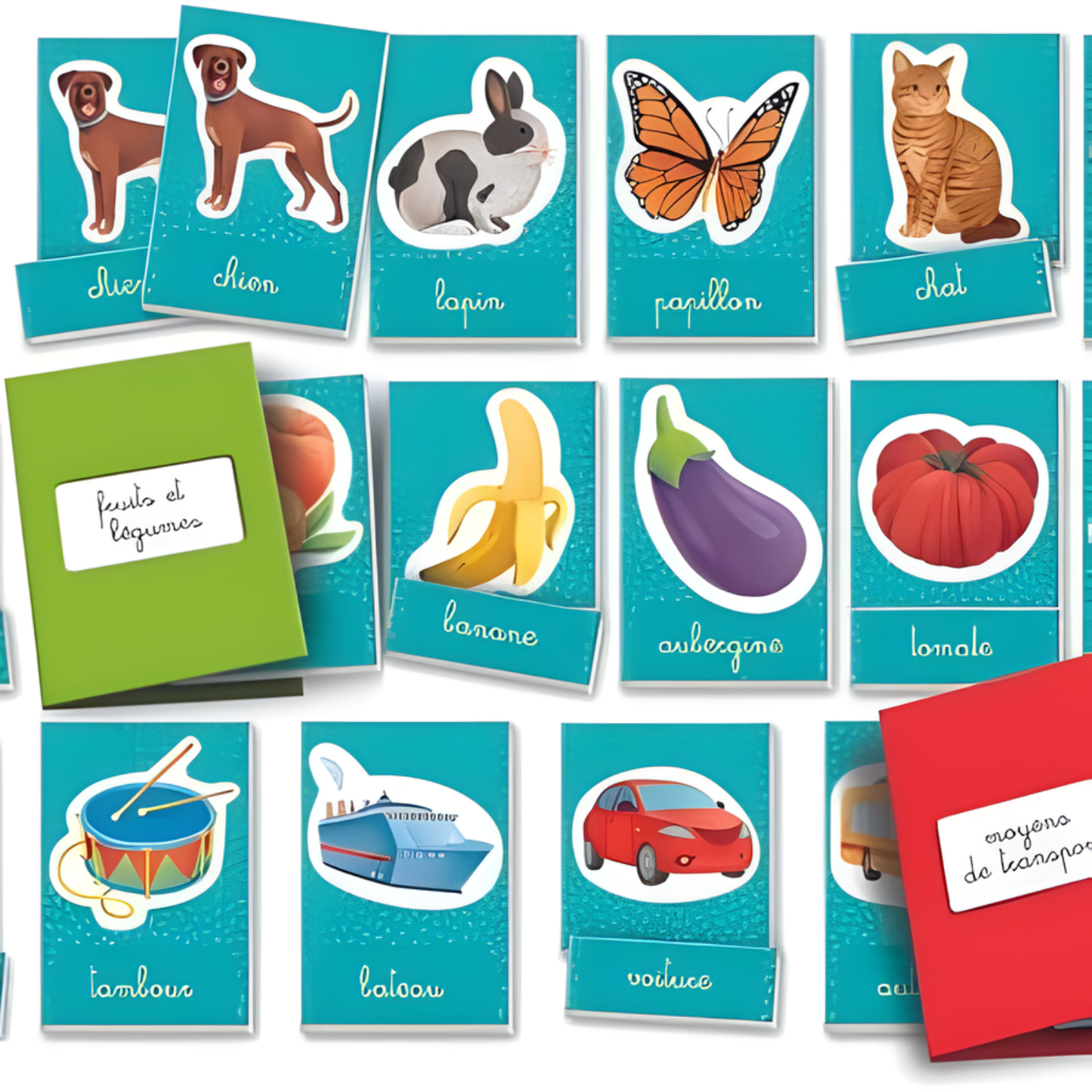 Education - Montessori : Les Mots en Images