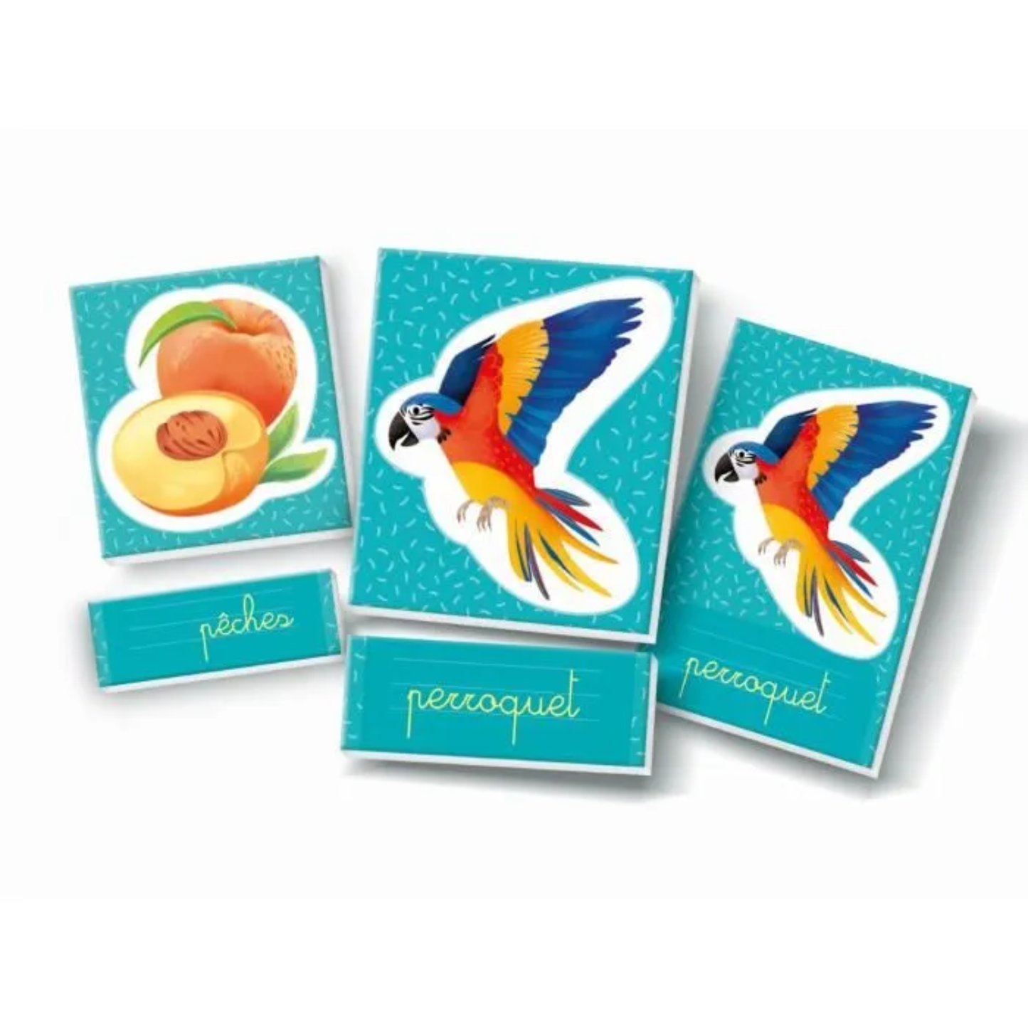 Education - Montessori : Les Mots en Images