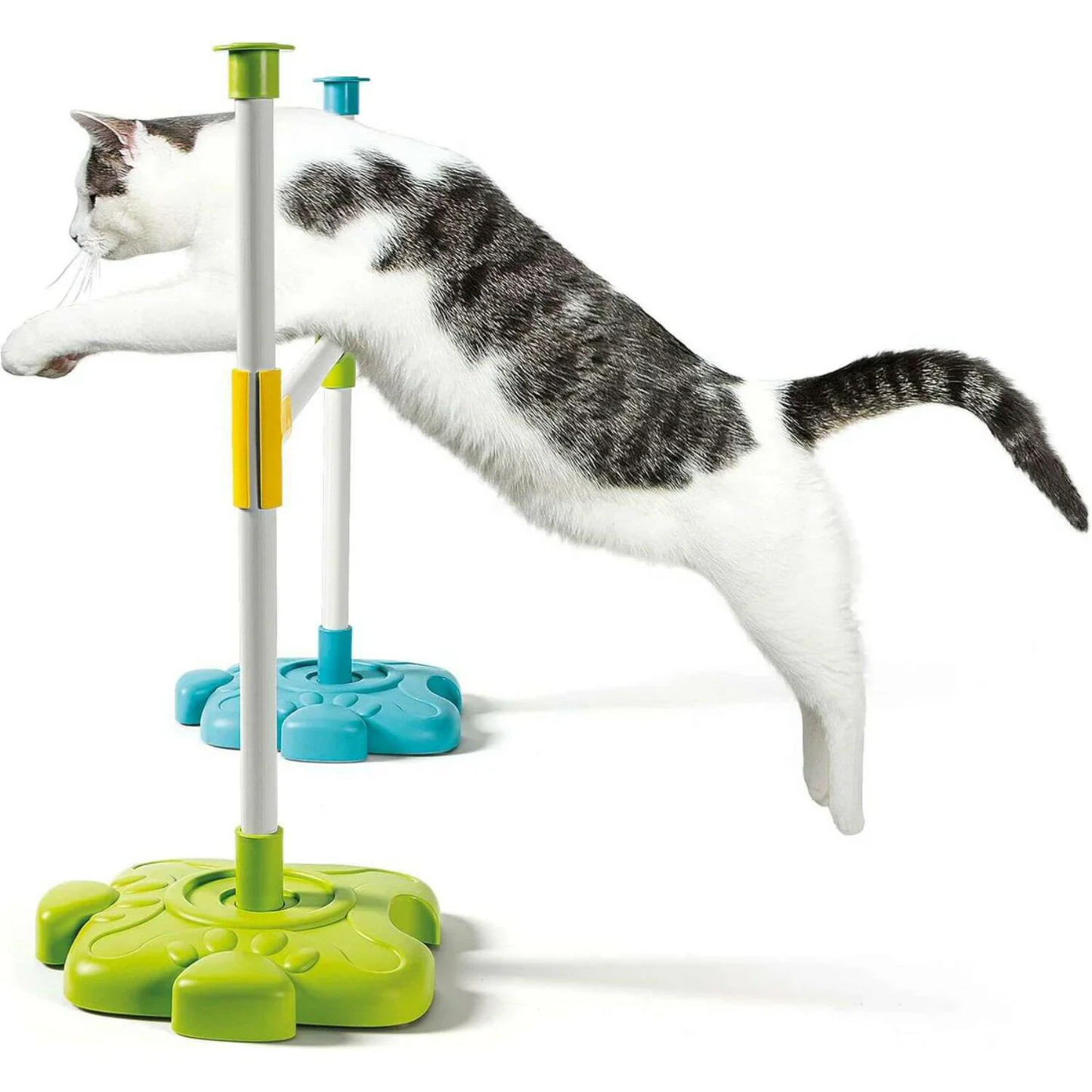 Science & Play - My 4-Legged Friends