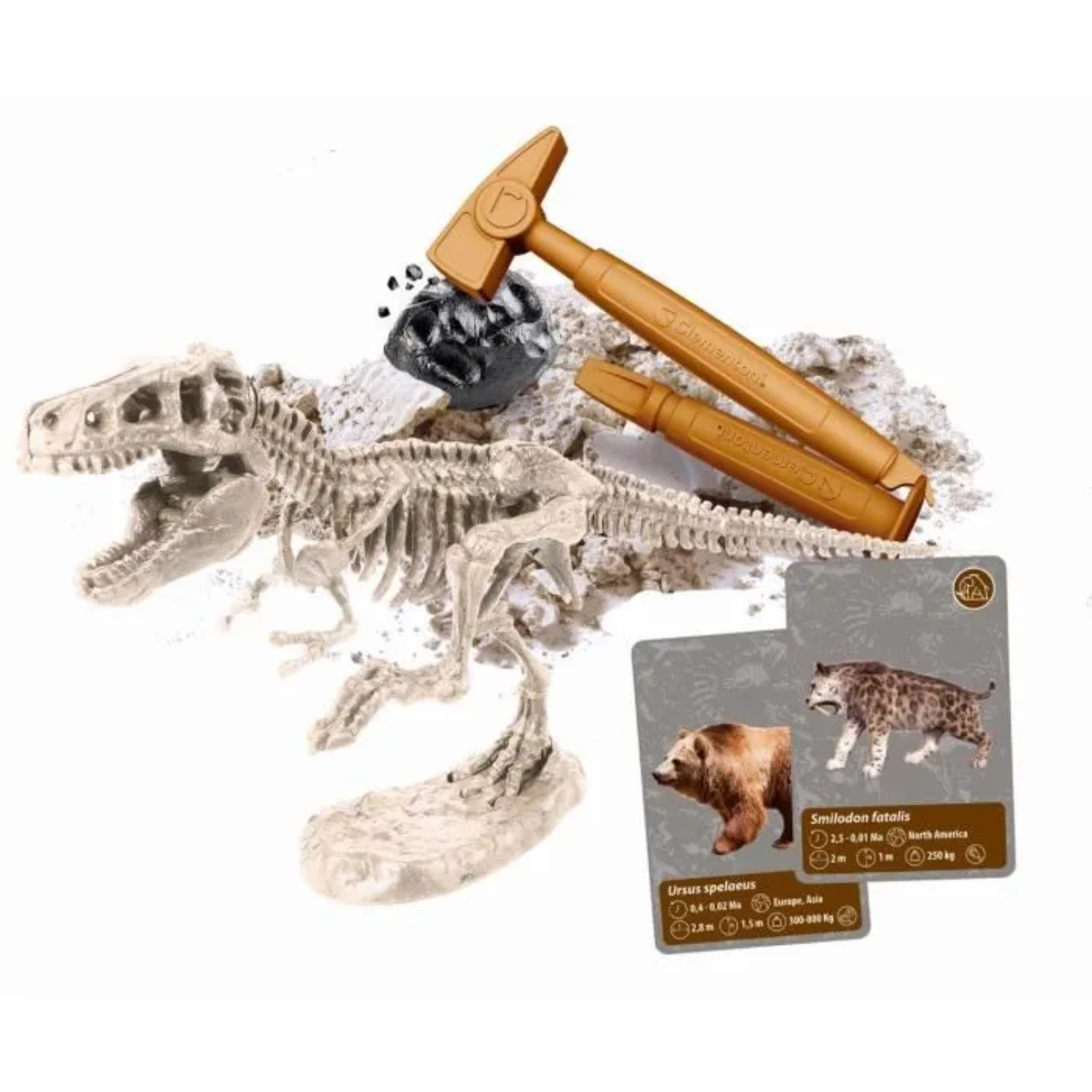 Science & Play - The History of Life on Earth