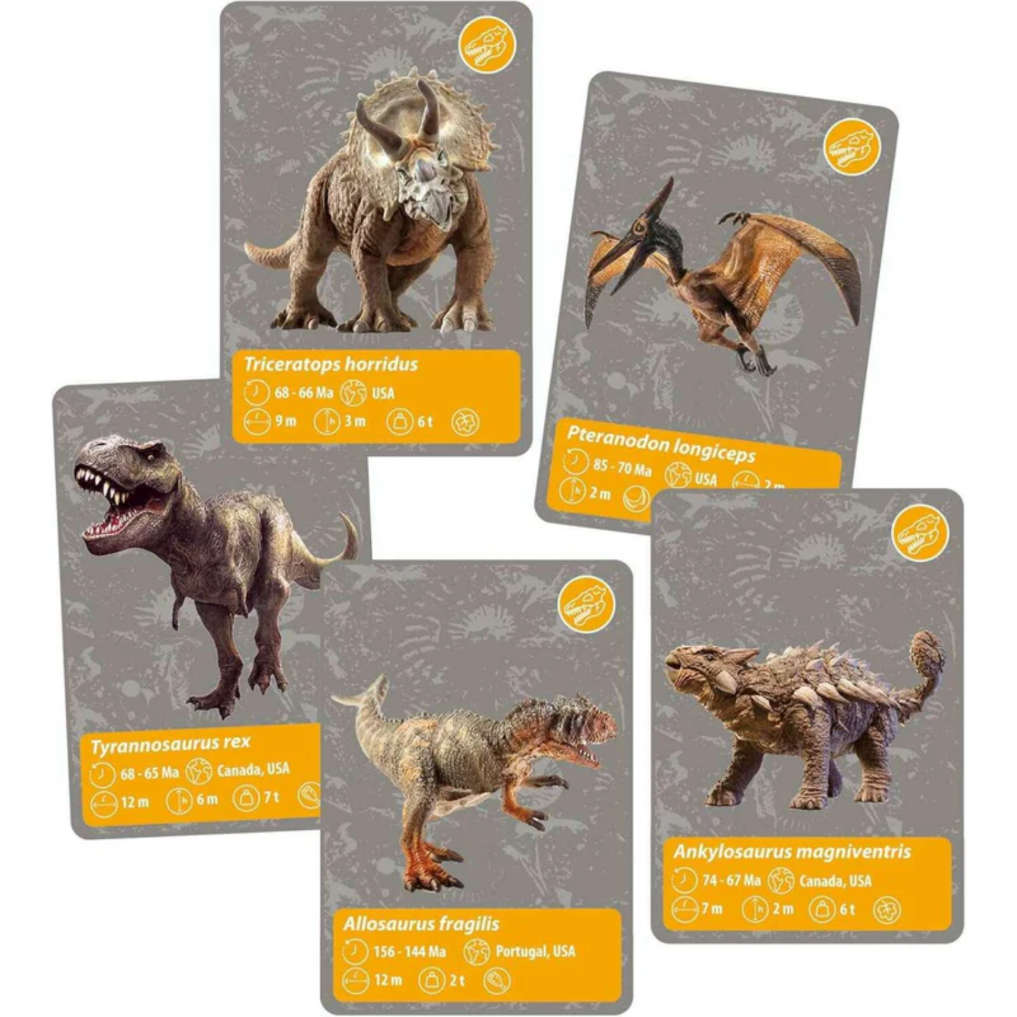 Science & Play - The History of Life on Earth