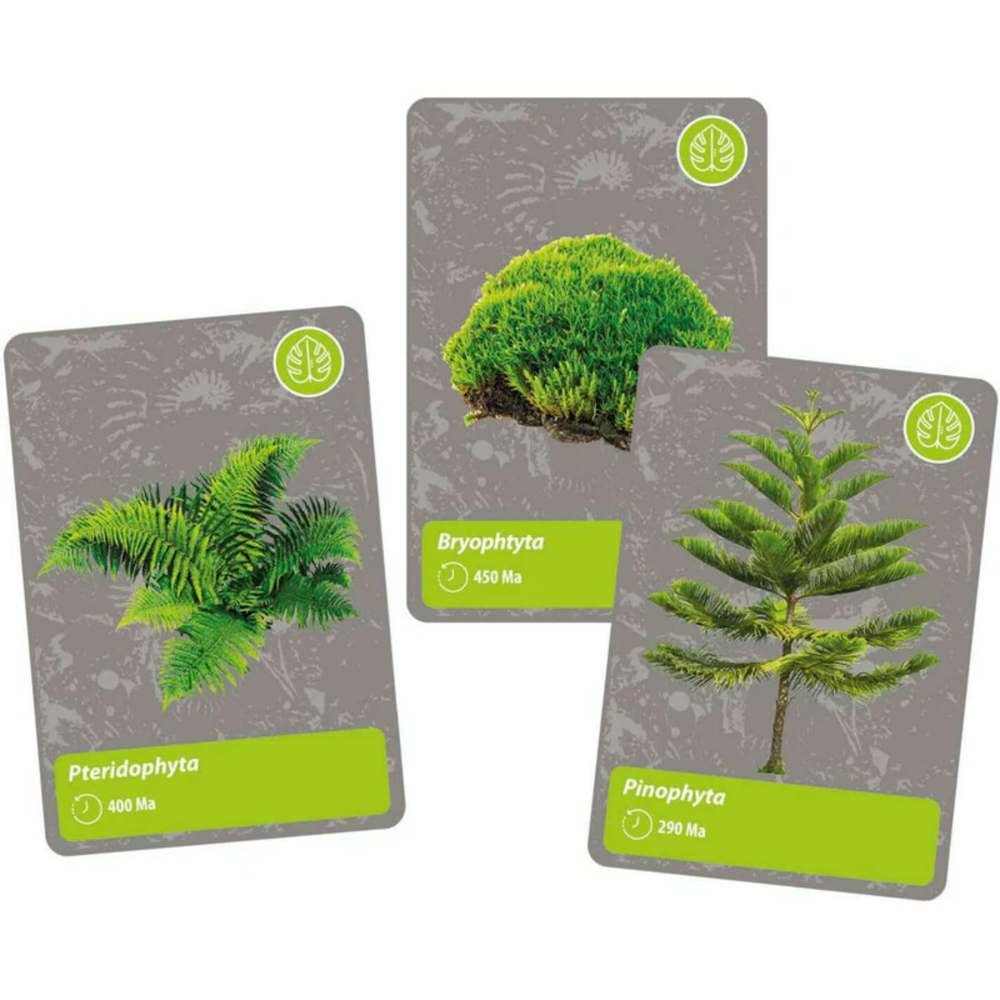 Science & Play - The History of Life on Earth