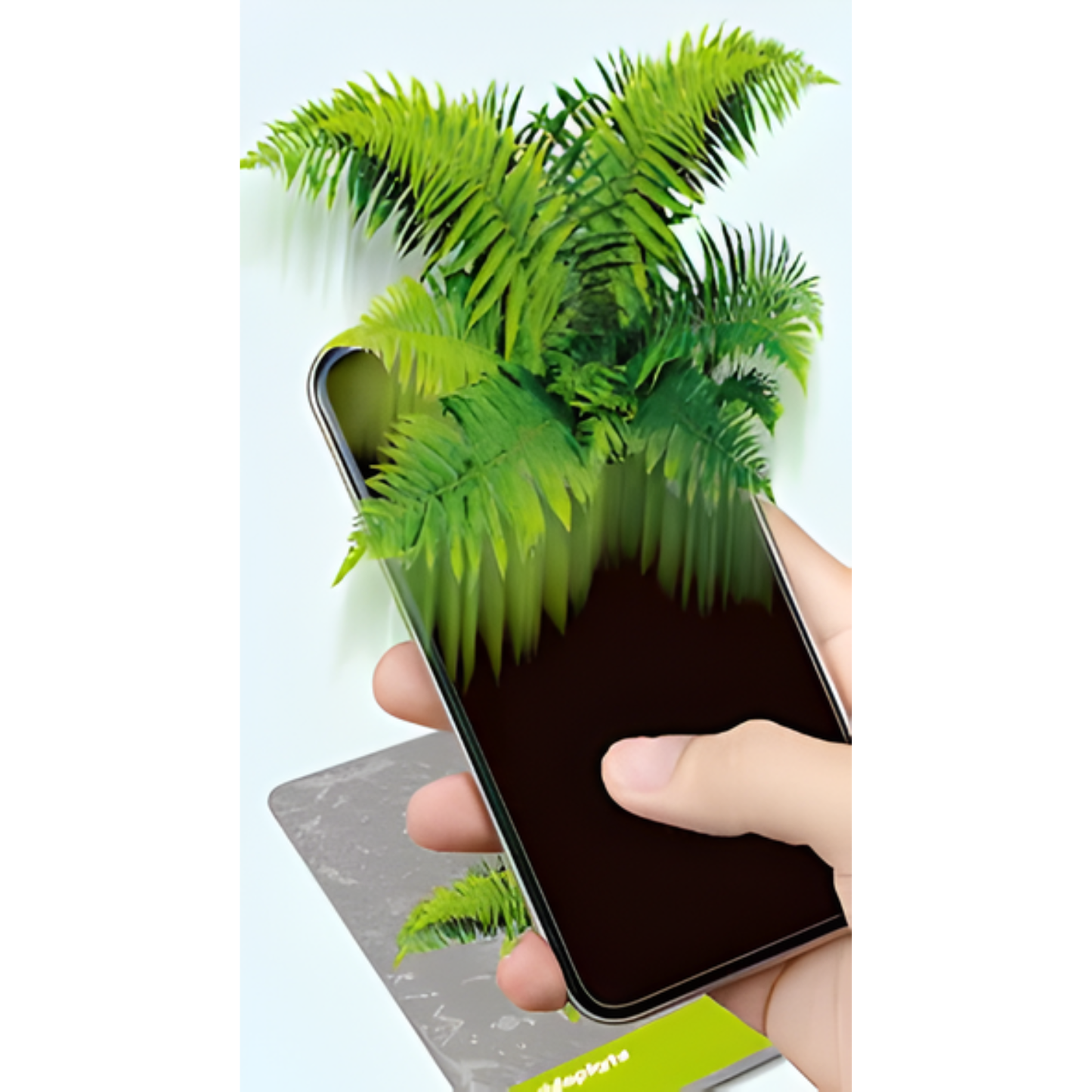 Science & Play - The History of Life on Earth