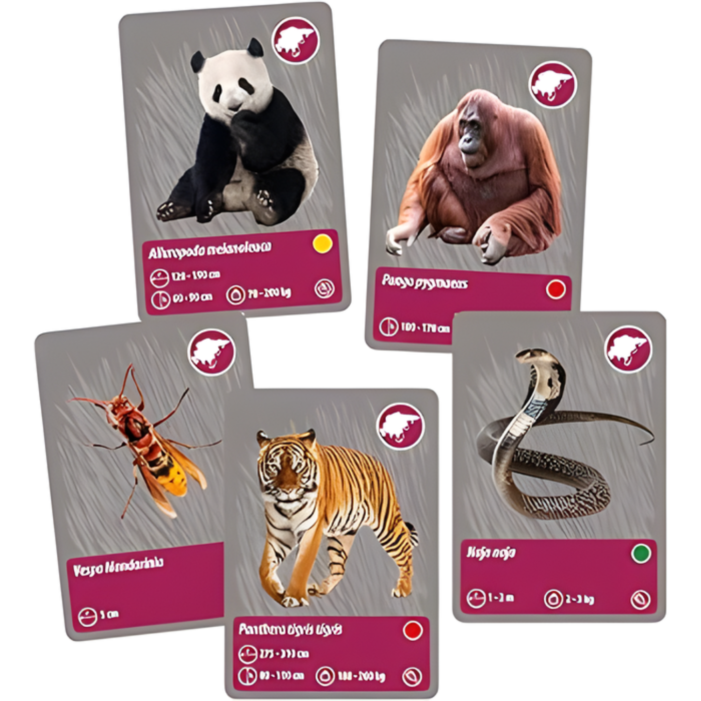 Science & Play - The History of Life on Earth