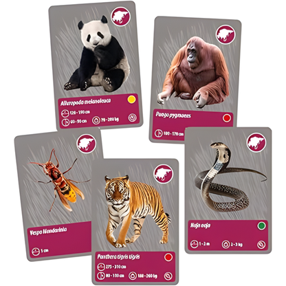 Science & Play - The History of Life on Earth