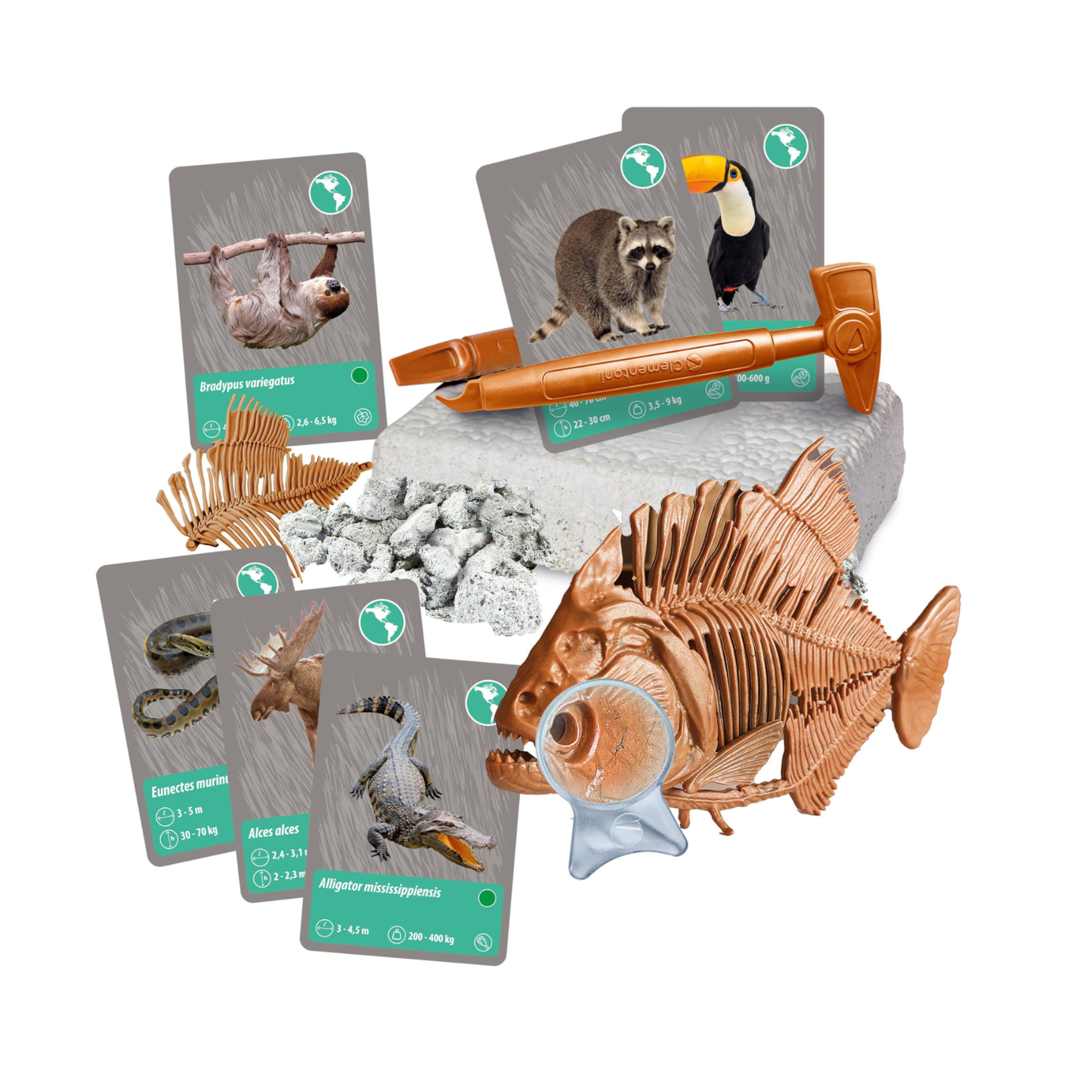 Science & Play - The History of Life on Earth