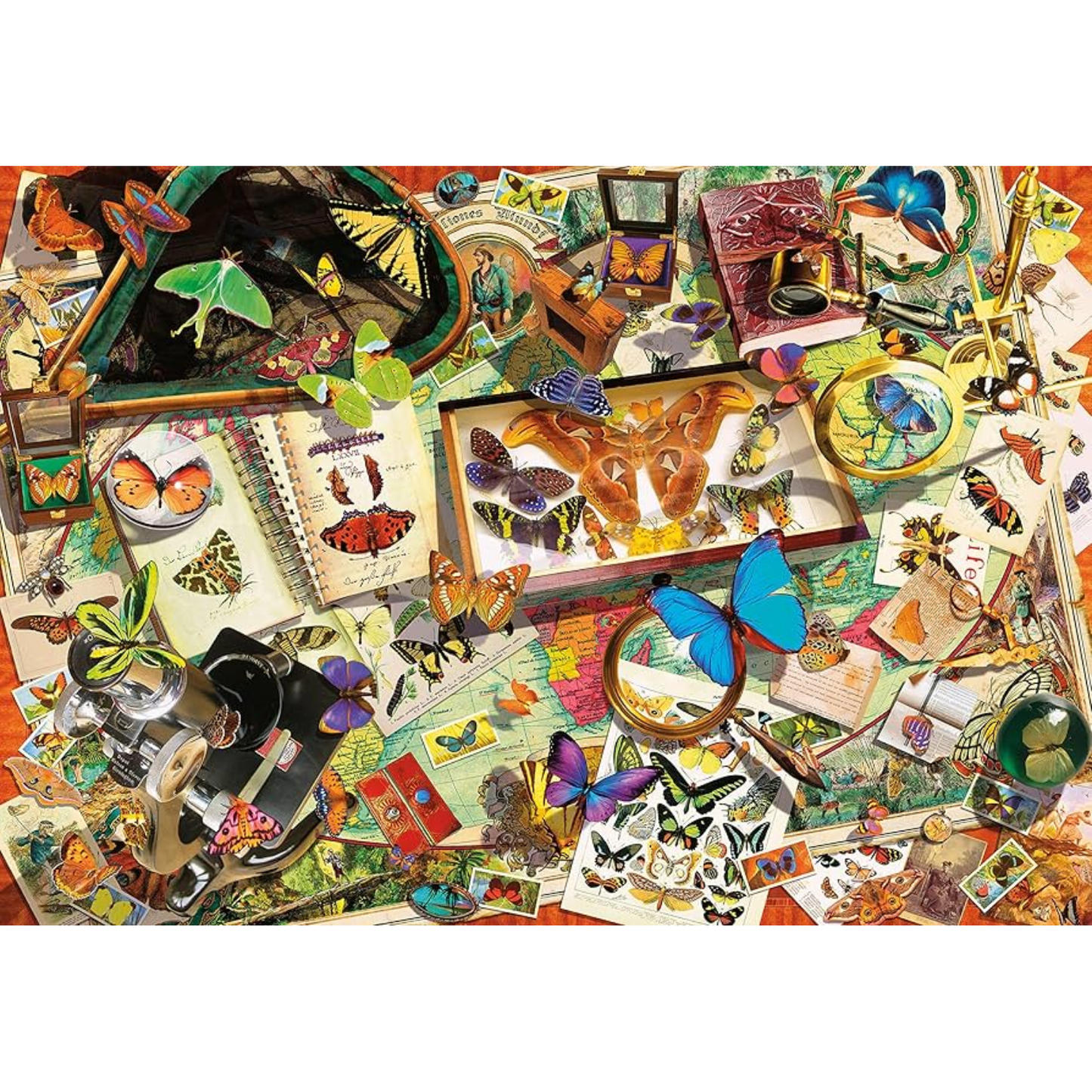 Clementoni Puzzles - Butterfly Curiosity Cabinet – 500 Pieces