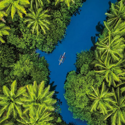 Clementoni Puzzles - Tropical River Aerial View – 500 Pieces