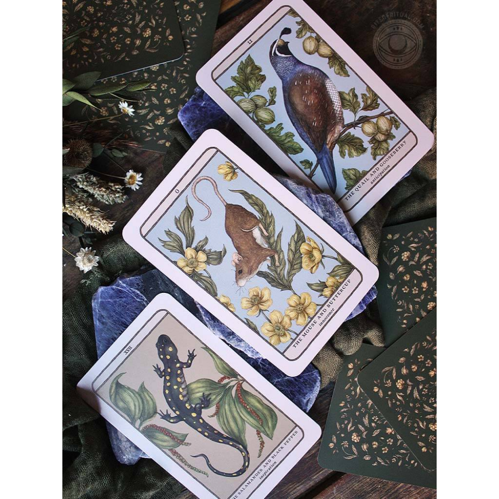 Tarot of the Woodland Wardens Deck