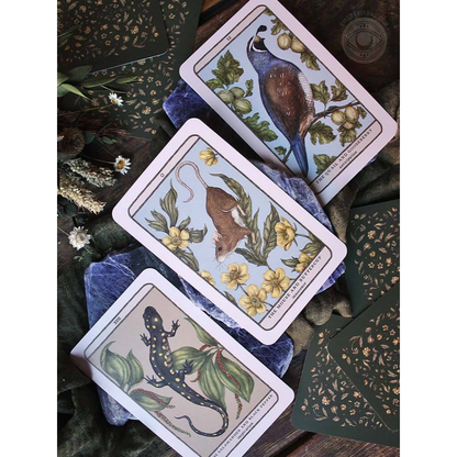 Tarot of the Woodland Wardens Deck