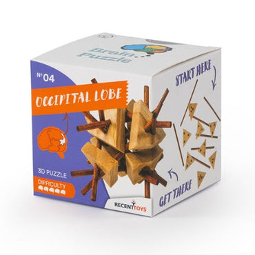 Brain Puzzle N°04: Occipital Lobe