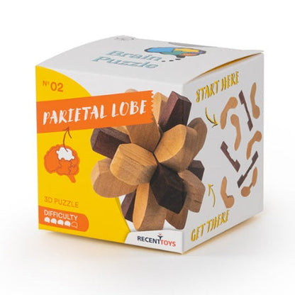 Brain Puzzle N°02: Parietal Lobe