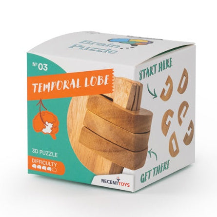 Brain Puzzle N°03: Temporal Lobe