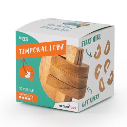 Brain Puzzle N°03: Temporal Lobe