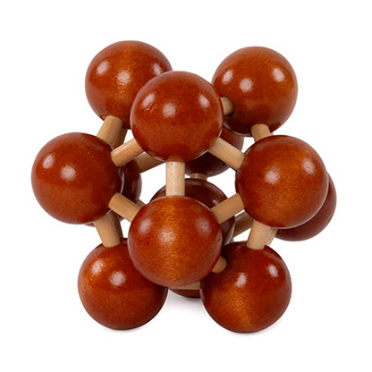 Brain Puzzle N°01: Frontal Lobe