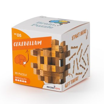 Brain Puzzle N°05: Cerebellum